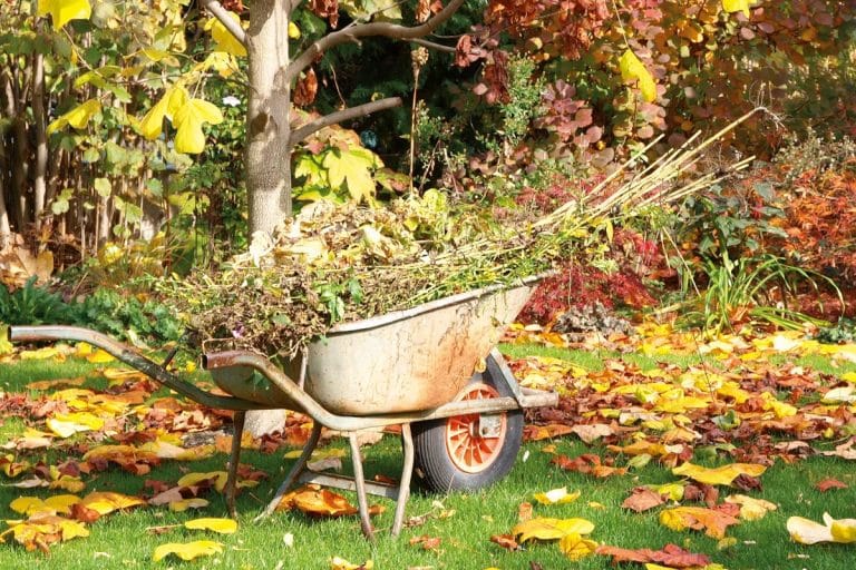 outils de jardinage